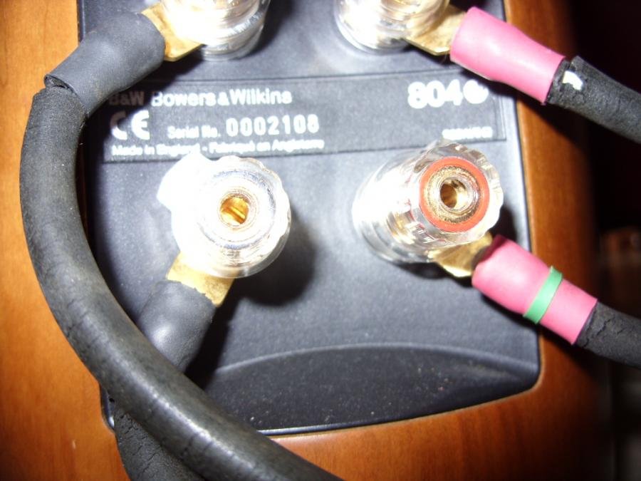 SDC10032.jpg