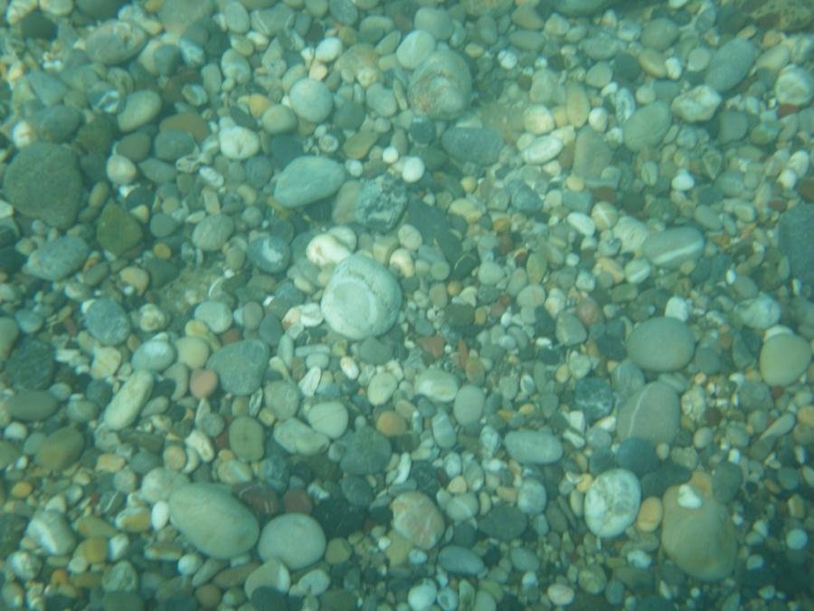 SDC10012.jpg