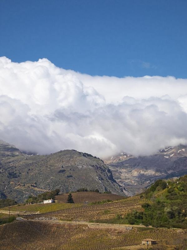 pasha2010 076_1RES.jpg