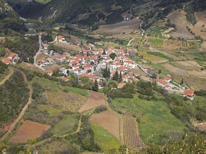 pasha2010 078 res.jpg