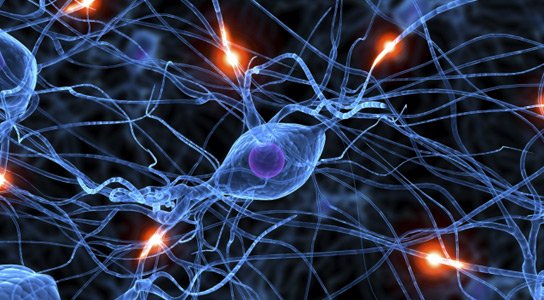 Neurons firing TDCS.jpg