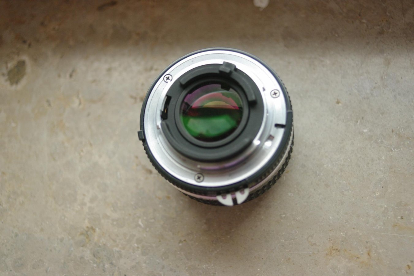 IMGP9654.jpg