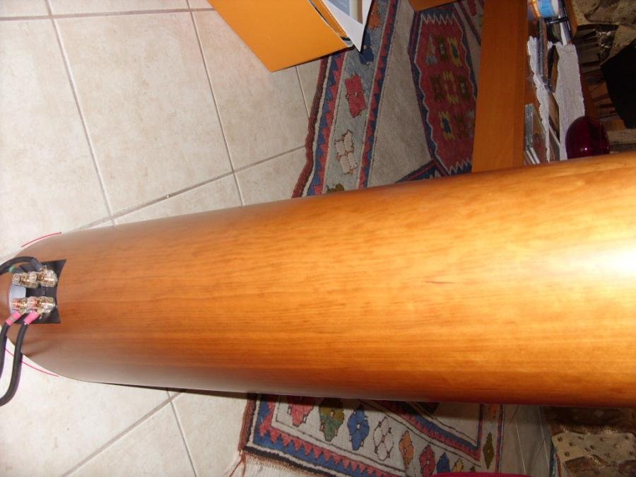 SDC10037.jpg