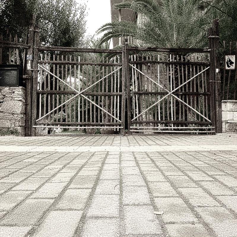 P1050559 LITHO RES.jpg