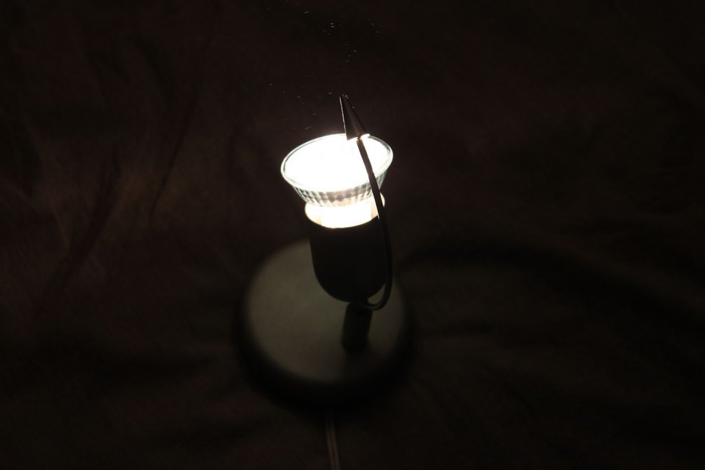 IMG_6084_resize.JPG