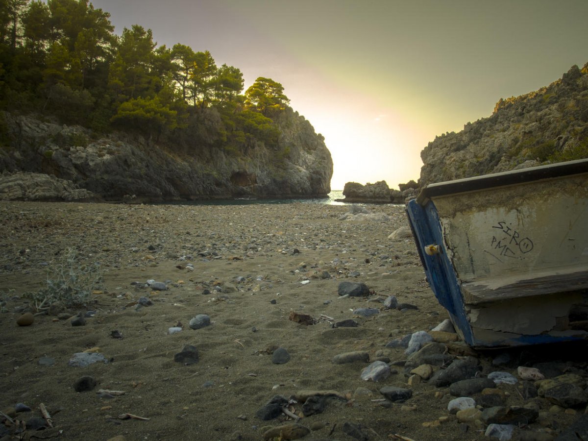 P7132549.jpg P7132549.jpg