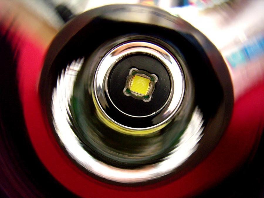 P7270056 modified.jpg