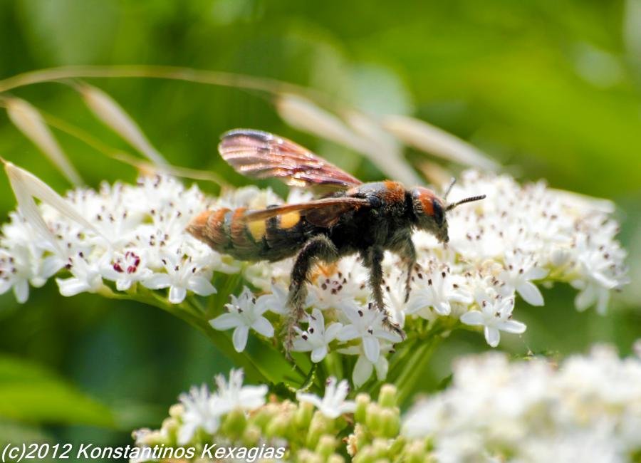 IMG_8205.jpg IMG_8205.jpg