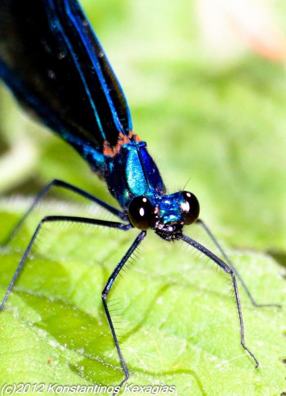 IMG_8322.jpg IMG_8322.jpg