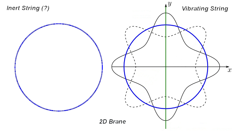 Image 01.png