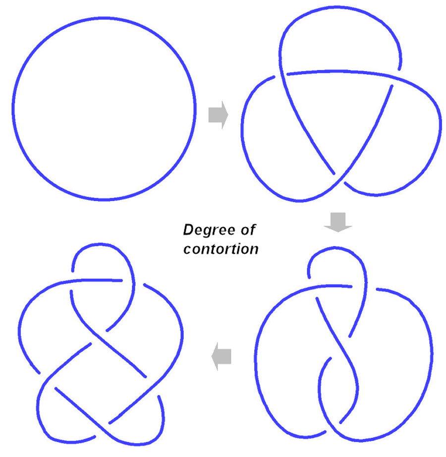 Image 03.png