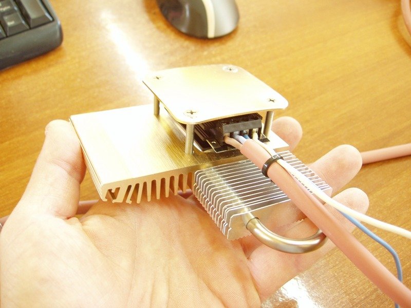 P1010019.JPG