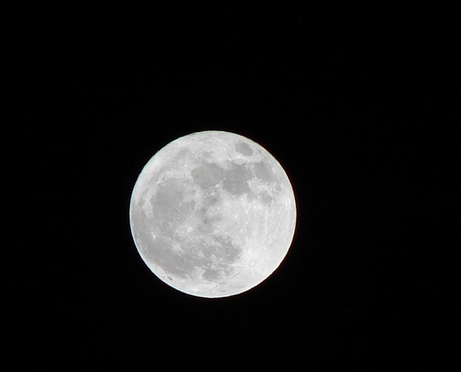 DSC09960 SONY H2.jpg