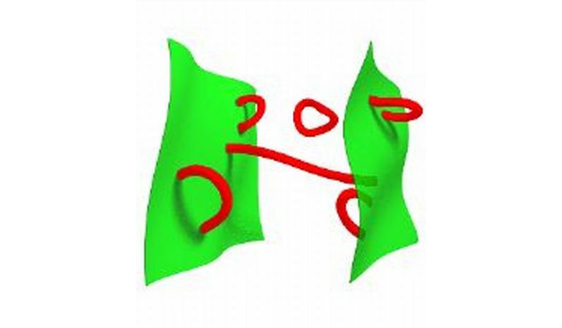 09 Open & Closed strings.png