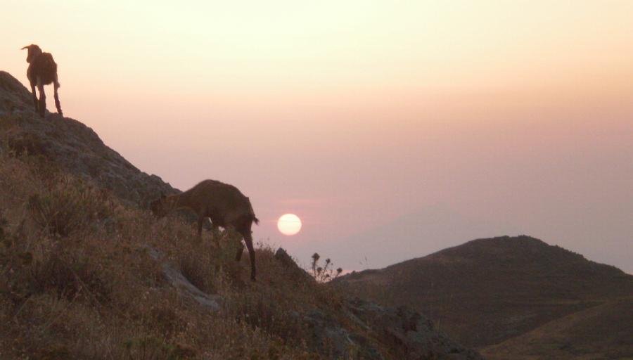 ΓΒ±ΓΒΈΓβ°Γβ 1.jpg ΓΒ±ΓΒΈΓβ°Γβ 1.jpg