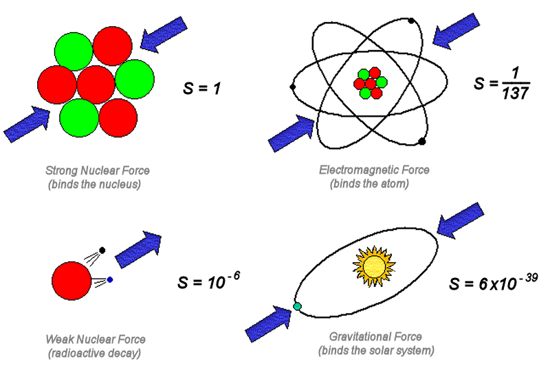 10 Forces compared.png