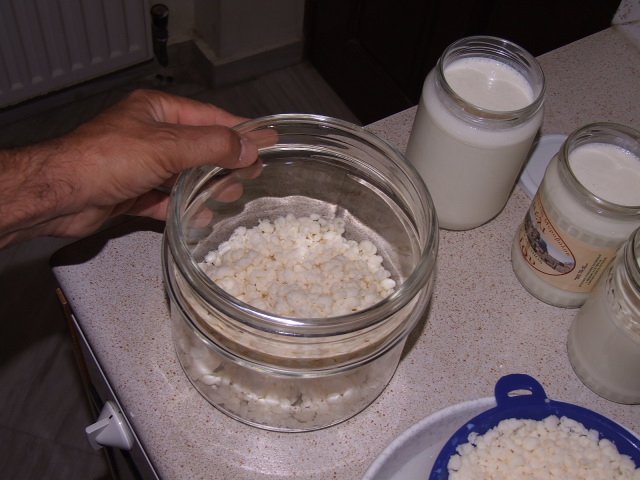 ΓΕ‘ΓΒ΅Γβ ΓΒ―ΓΒ ΓΒ΅ΓΒΉΓΒΊΓΕΓΒ½ΓΒ΅Γβ 004.jpg