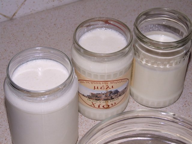 ΓΕ‘ΓΒ΅Γβ ΓΒ―ΓΒ ΓΒ΅ΓΒΉΓΒΊΓΕΓΒ½ΓΒ΅Γβ 005.jpg