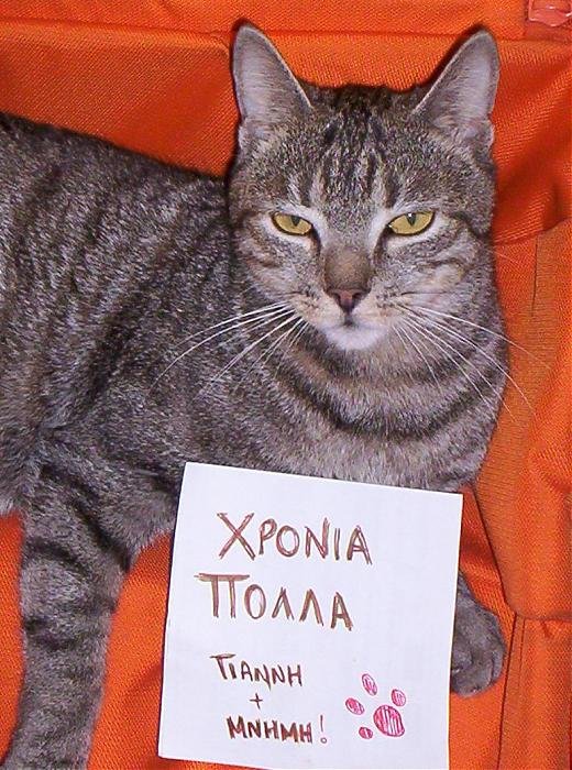 100_2508A.jpg