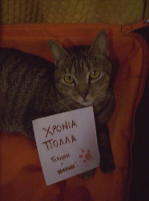 100_2502A.jpg