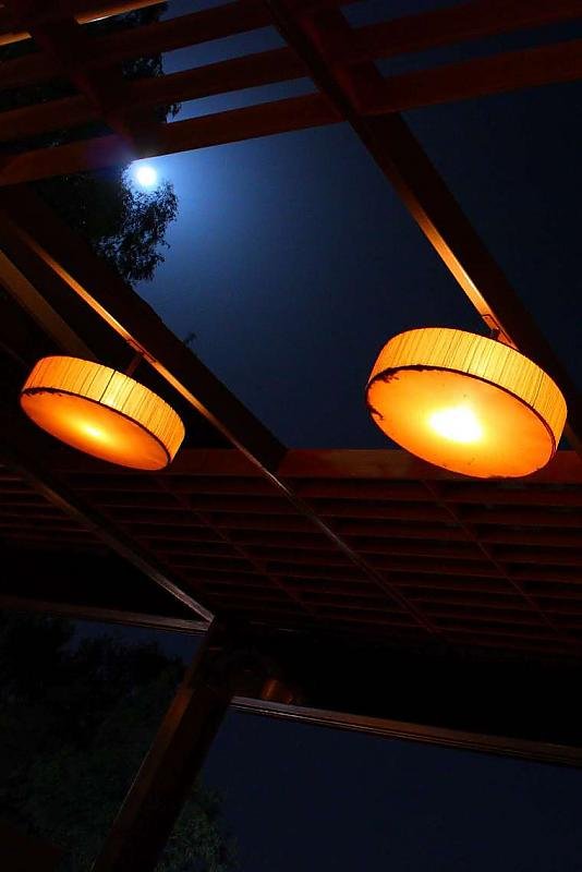 IMG_2822 crop 2-3 resize2.jpg