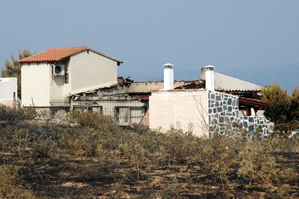 DSC_0529.jpg