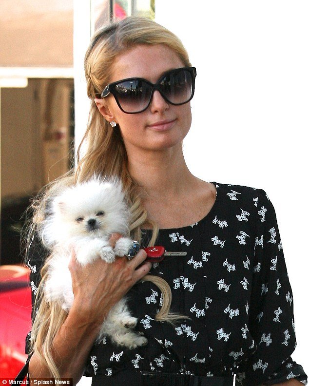 1410867257720_wps_50_Paris_Hilton_and_her_new_.jpg