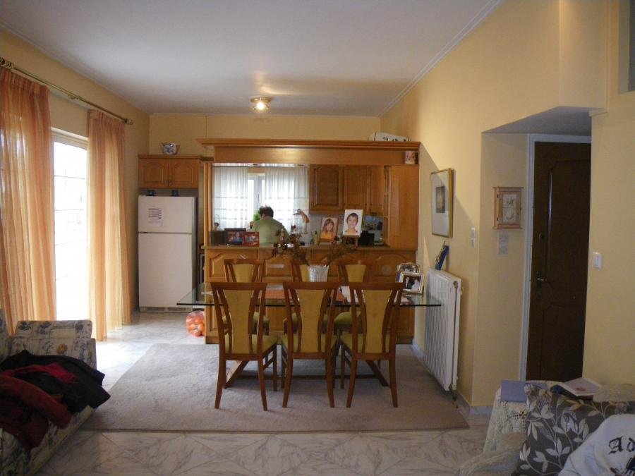 IMGP0460.jpg IMGP0460.jpg