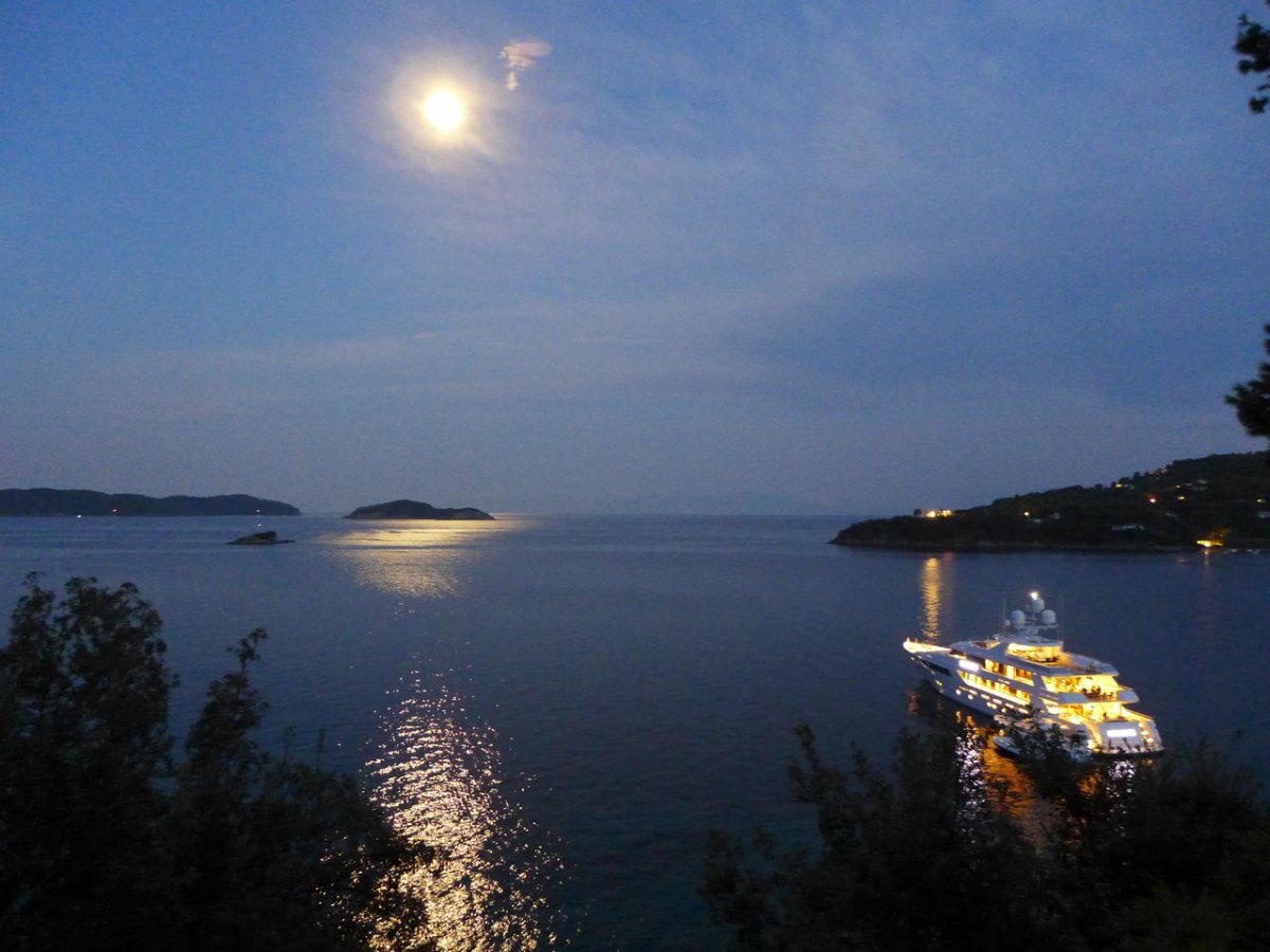 P1070926.jpg