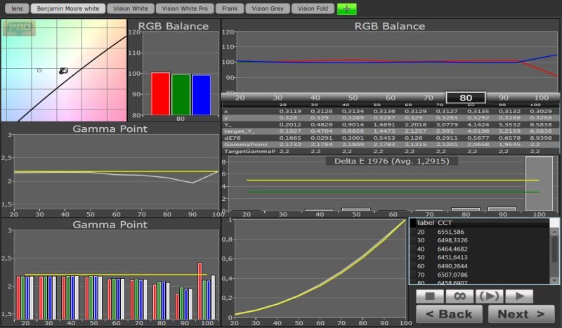 BENJAMIN WHITE GRAYSCALE.jpg