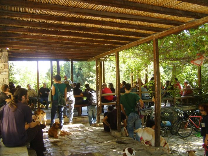 filopappou_sine_dioxi3_17102010.jpg