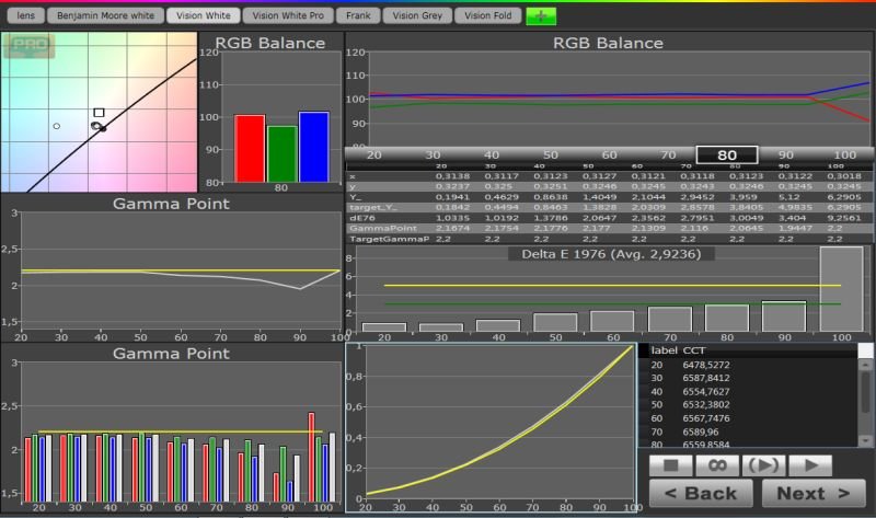 VISION WHITE GRAYSCALE.jpg