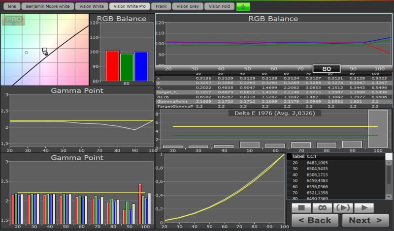 VISION WHITEPRO GRAYSCALE.jpg