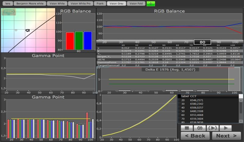 VISION GRAY GRAYSCALE.jpg