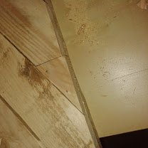 ΓΒ ΓΒΓΒΏΓΖΓΒΈΓΒ?ΓΒΊΓΒ· ΓβΓΖΓΒΏΓΒ½ΓβΓΒ±Γβ.jpg