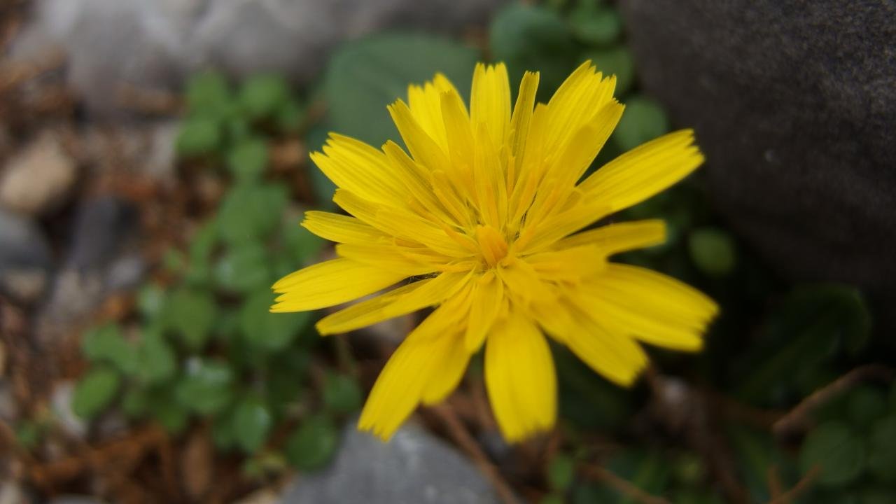 P1060711.jpg