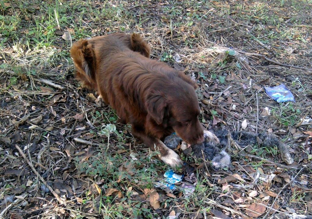 2013-11-29 10.59.31_1.jpg