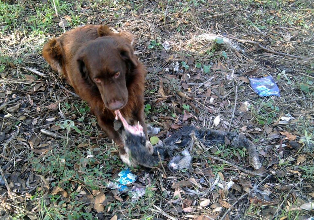 2013-11-29 10.59.44_1.jpg