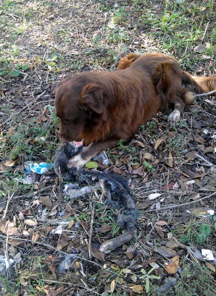 2013-11-29 10.59.53_1.jpg