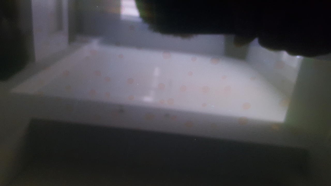 20170128_131231.jpg