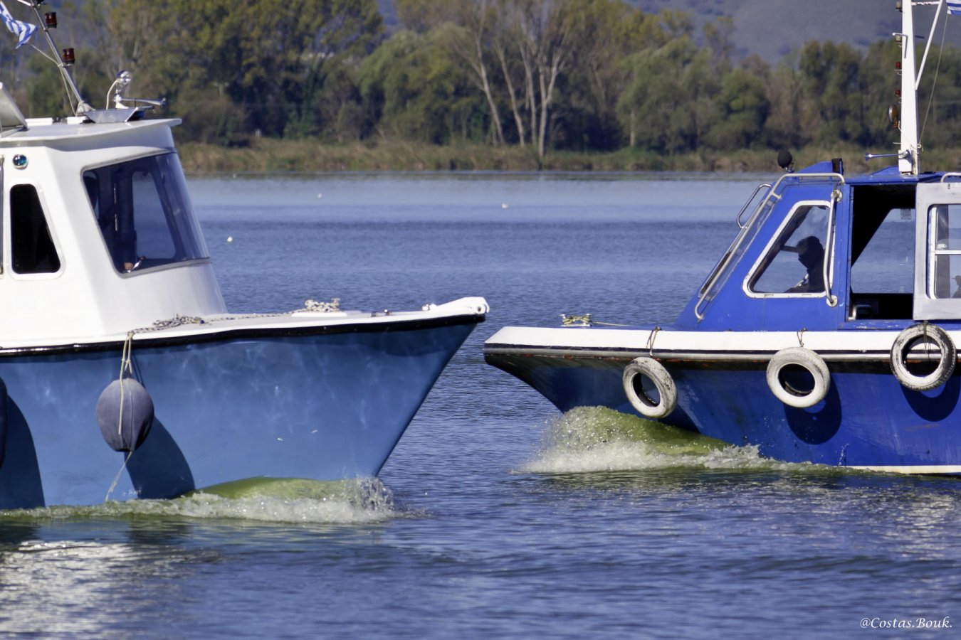 PA290617.jpg