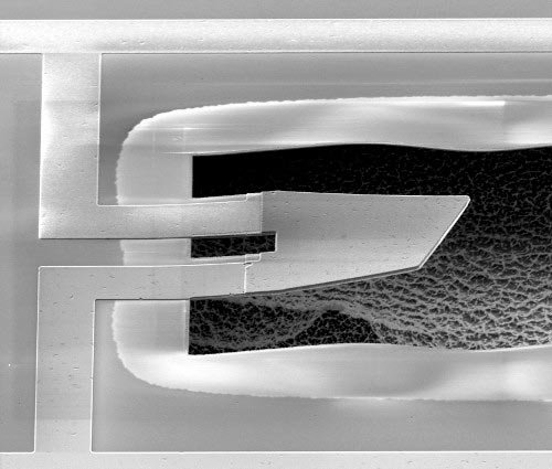 Resonator in superposition.jpg