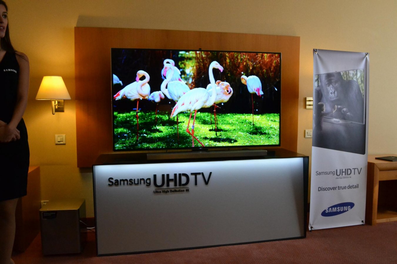 DSC_0160.jpg DSC_0160.jpg