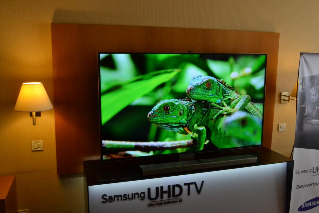 DSC_0152.jpg DSC_0152.jpg