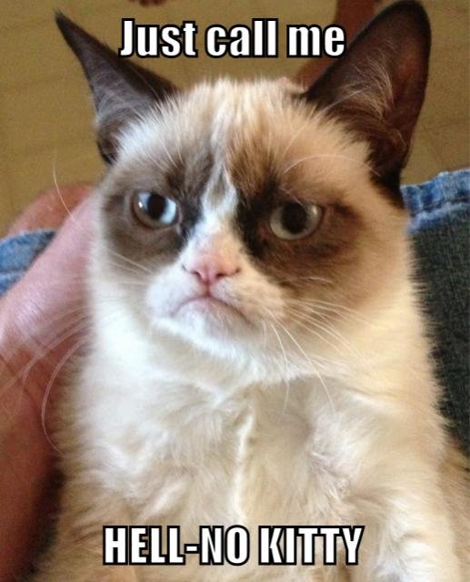grumpy_cat___hell_no_kitty_by_angusmctavish-d6ivohm[1].jpg