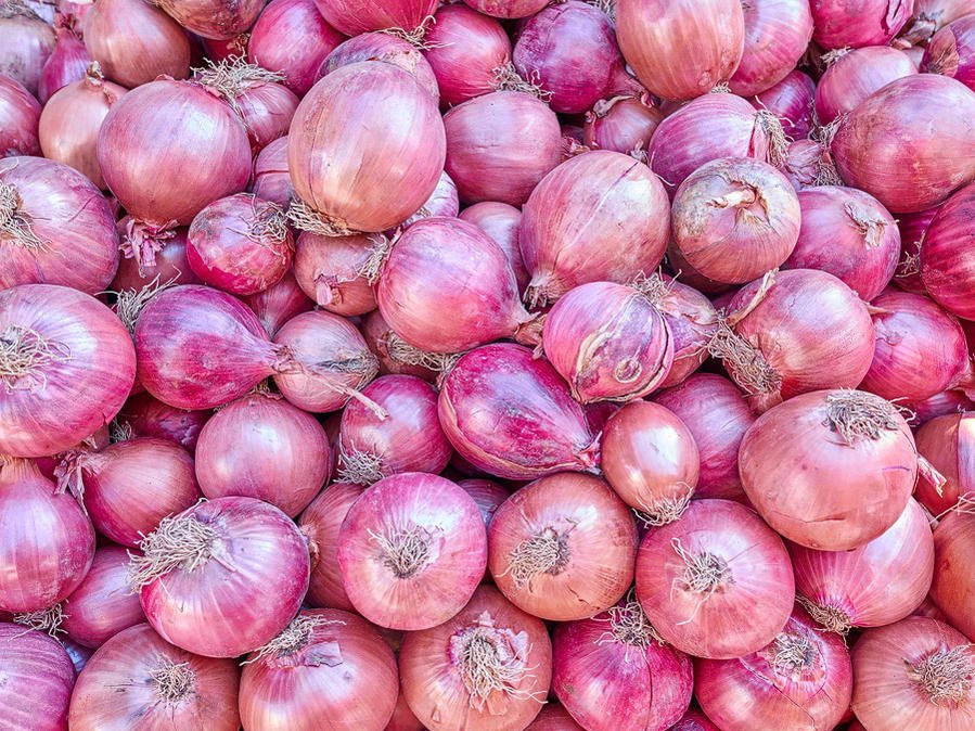 _1030097 - Copy.jpg _1030097 - Copy.jpg