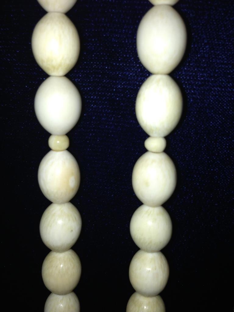 IMG_1204.jpg IMG_1204.jpg