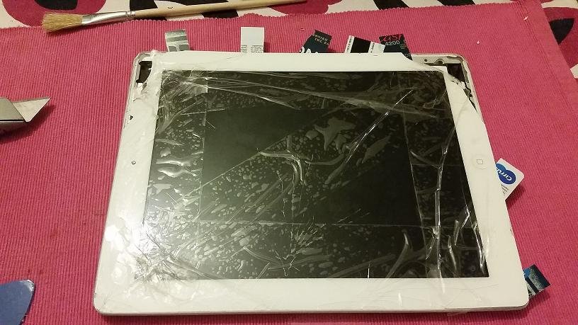 apple4.JPG