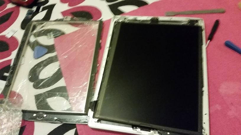 apple5.JPG