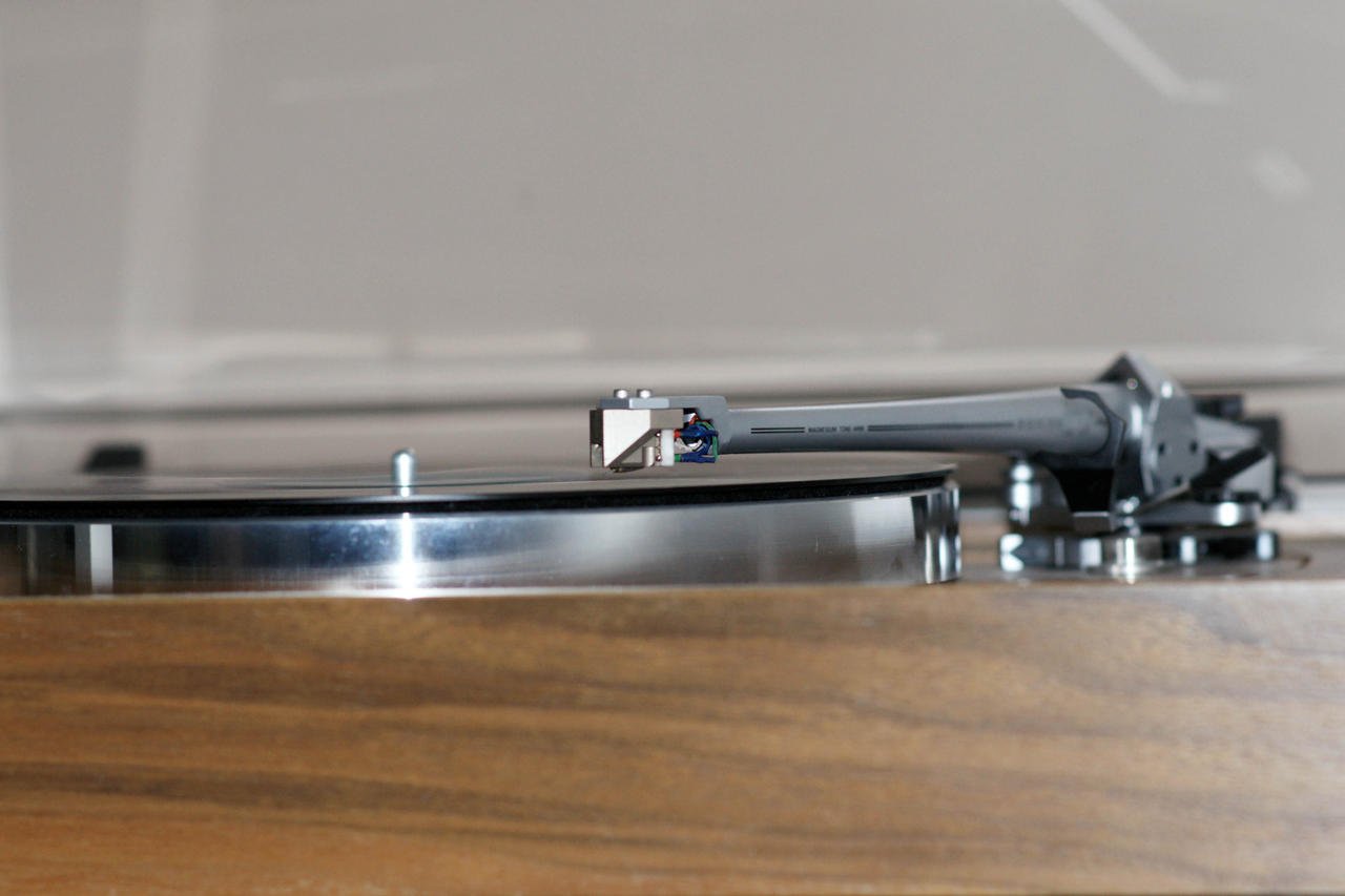 DSC06163-1.jpg